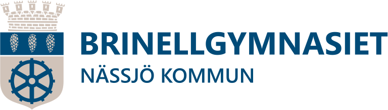 Brinnellgymnasiet i Nässjö logotype